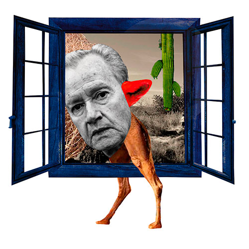 El Zorro más Sabio